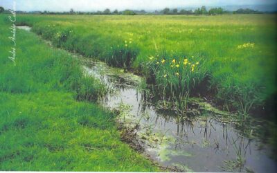 La Prairie d’hier et d’aujourd’hui