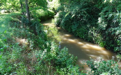 La Loëze et ses moulins à Manziat