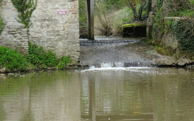 Le moulin Nillon à Manziat – Épisode 2/2